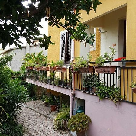 Ossi B&B Sara المظهر الخارجي الصورة